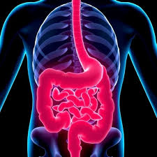 Colon Cancer Treatment Options