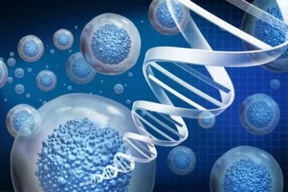 The Benefits and Risks of Stem Cell Therapy