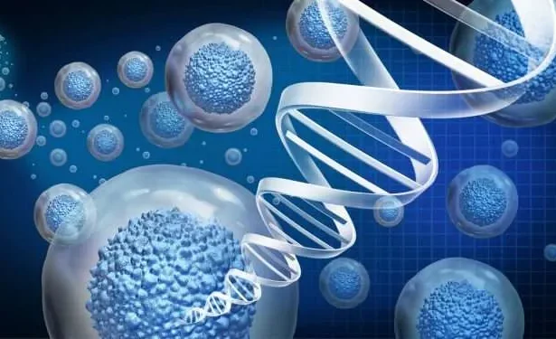 The Benefits and Risks of Stem Cell Therapy
