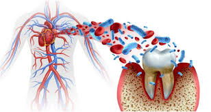 The Connection Between Diabetes and Heart Health