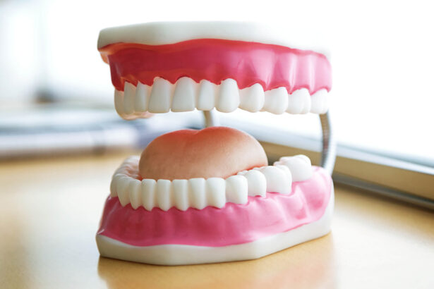 Understanding the Different Types of Dentures Available