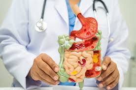 Why You Should Consult Digestive Disease Specialists for Chronic Symptoms