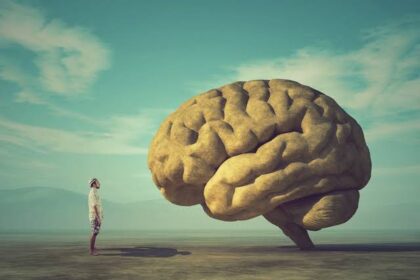 Understanding the Long-term Effects of Brain Injuries