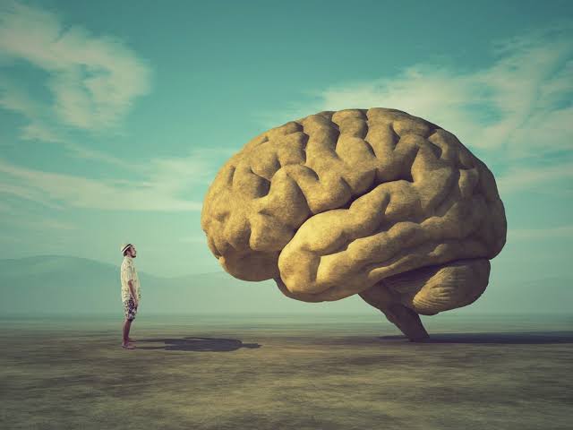 Understanding the Long-term Effects of Brain Injuries