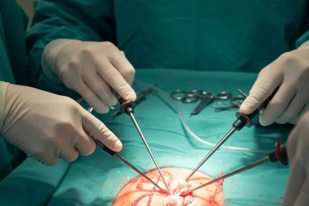 What Is Endometriosis